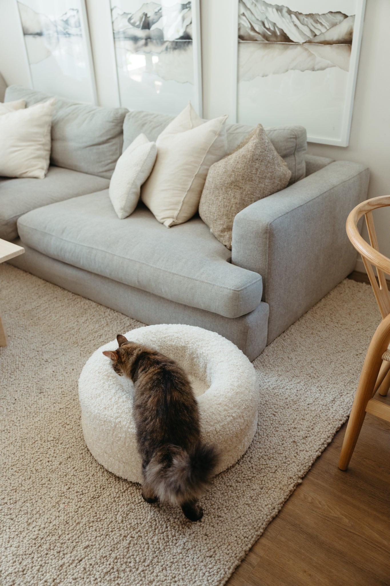 Luxury Bouclé Cat Bed
