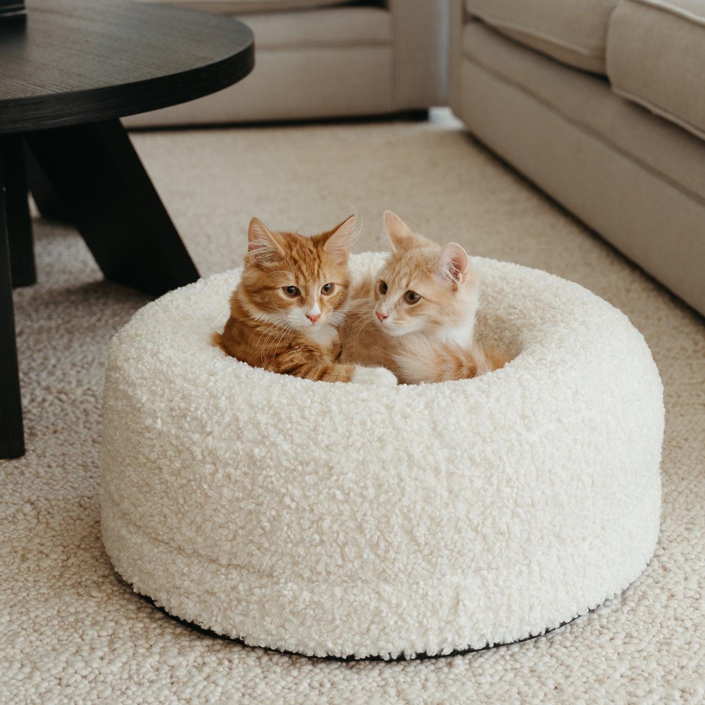 Luxury Bouclé Cat Bed