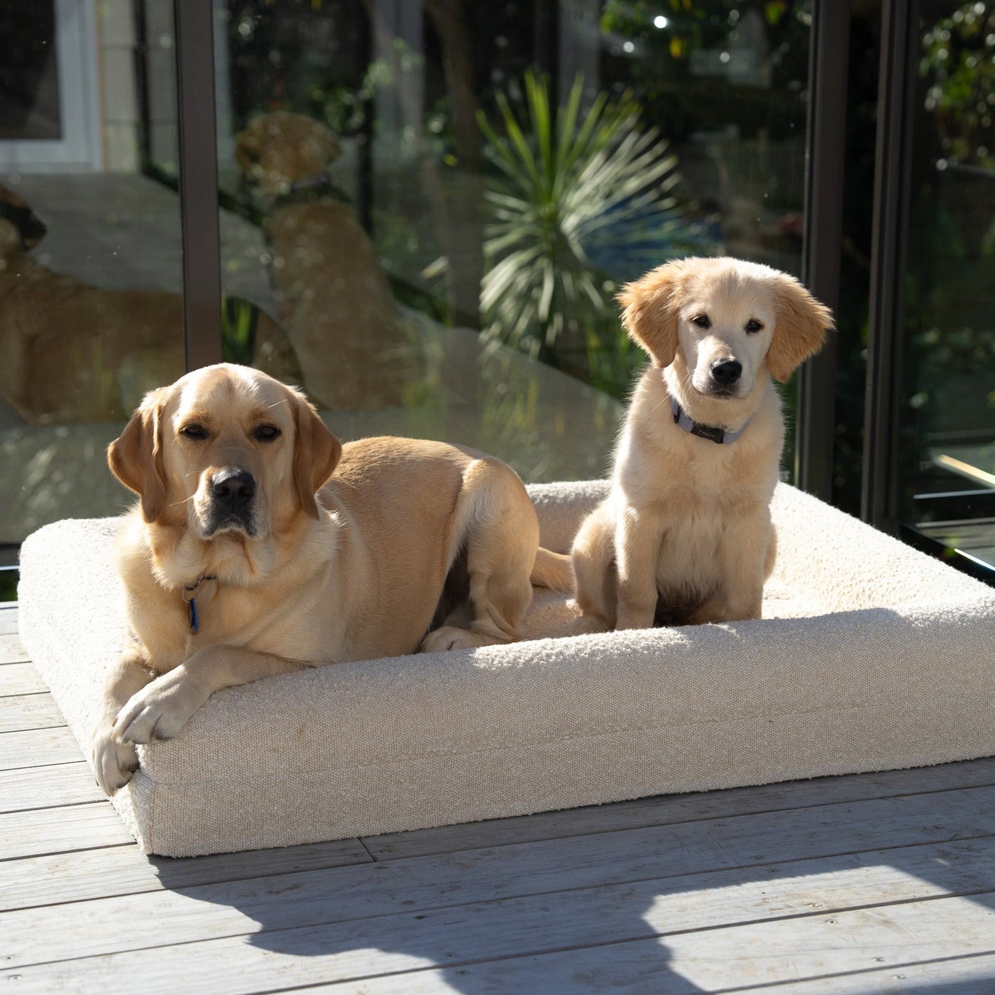 Dog Bed Bouclé Memory Foam