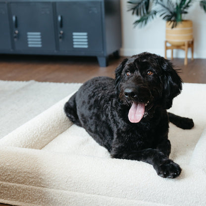 Luxury Large dog boucle memory foam nz bed orthopaedic 