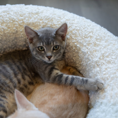 Cat Bed Bouclé Memory Foam