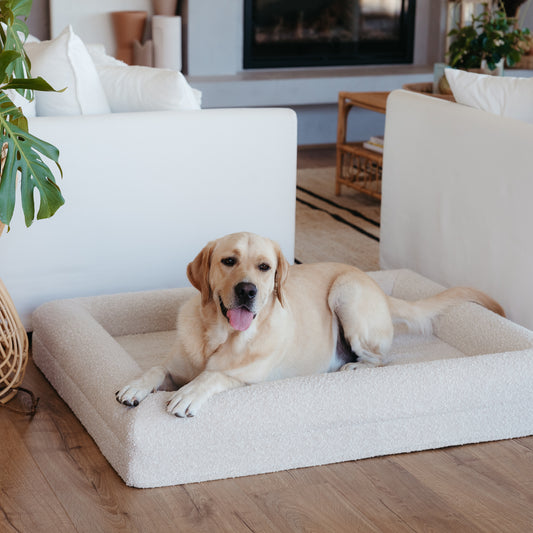 Dog Bed Bouclé Memory Foam